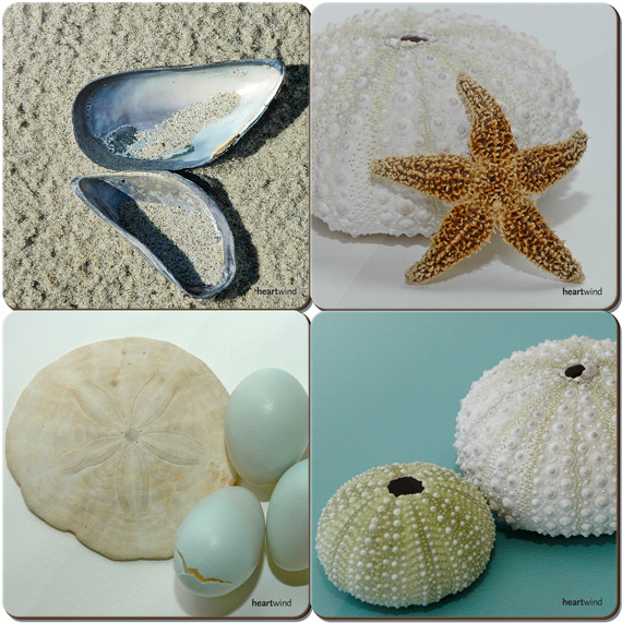Sea Art Coasters — Set of 4 — Qty 6
