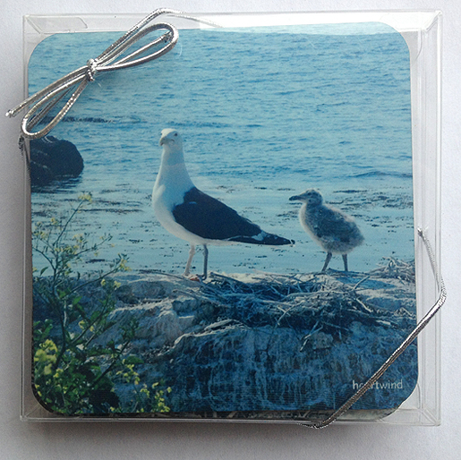 Seagulls Coasters — Variety Set of 4  — Qty 6
