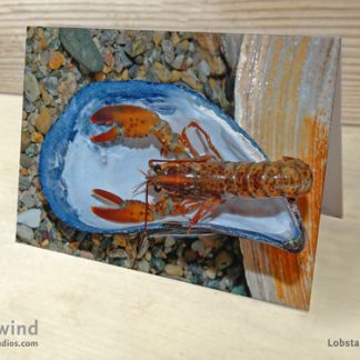 Baby Lobster 01 Greeting Cards