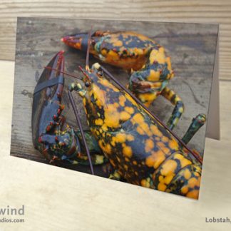 Calico Lobster 04 Greeting Card