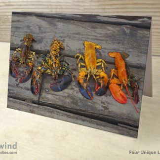 Four Unique Lobsters 01