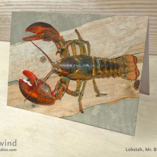 Lobstah, Mr Big Claw