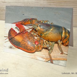 Mr. Big Claw 03 Card