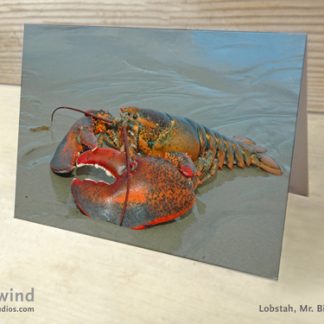 Mr. Big Claw 04 Card