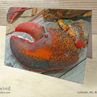 Mr. Big Claw 06 Card