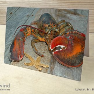 Mr. Big Claw 10 Greeting Card