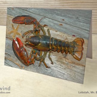 Mr. Big Claw 11 Greeting Card