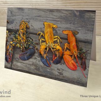 Three Unique Lobsters 01 Greeting Cards