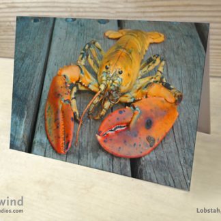 Yellow Lobster 01 Greeting Cards
