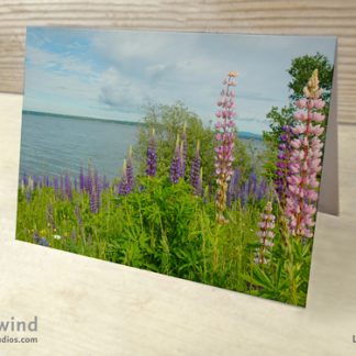 Heartwind Lupines 02 Greeting Card