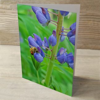 Heartwind Lupines 06 Greeting Card