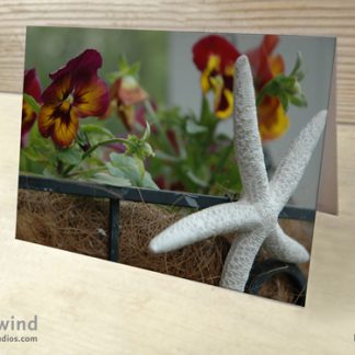 Pansies 01 - Cards and Postcards