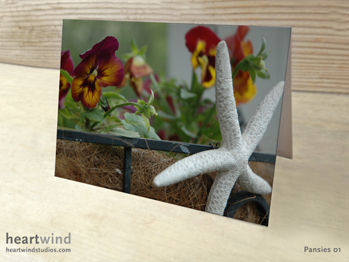 Pansies 01 - Cards and Postcards