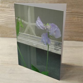 Sweet Peas & Sea Stars 02 Cards & Postcards