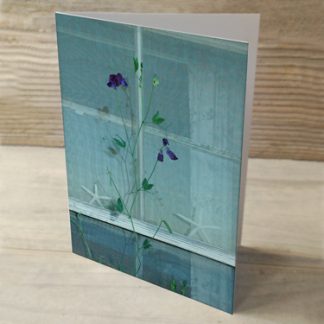 Sweet Peas & Sea Stars 03 Cards & Postcards