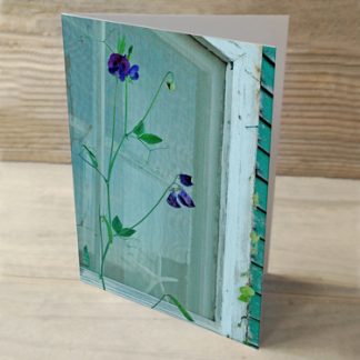 Sweet Peas & Sea Stars 04 Cards & Postcards