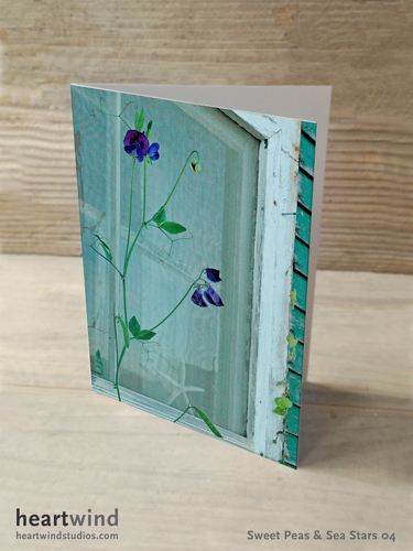Sweet Peas & Sea Stars 04 Cards & Postcards