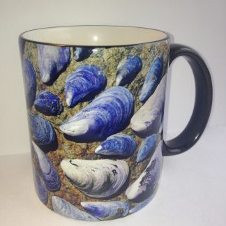 Heartwind Mussell Shell Mug