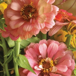 Nancy's Flowers 01— Mug — Qty 6