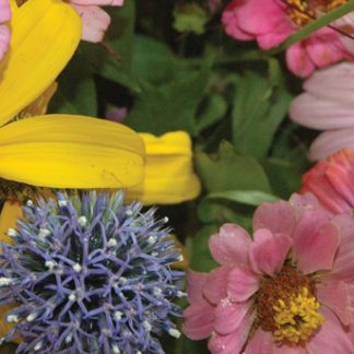 Nancy's Flowers 02— Mug — Qty 6